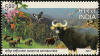 Bandipur National Park